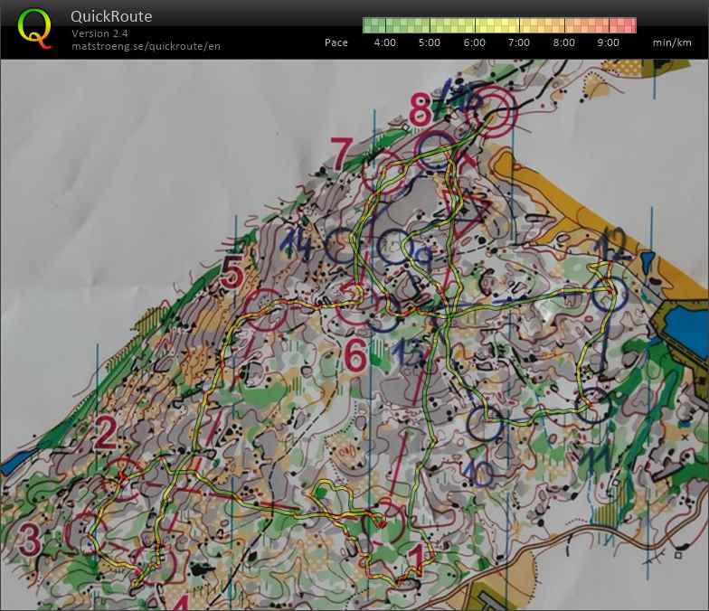 ZP Pt - middle (26-06-2022)